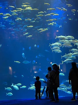 四国水族館に投稿された画像（2025/4/28）