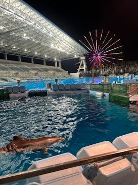 名古屋港水族館に投稿された画像（2025/4/28）