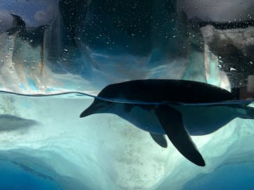 名古屋港水族館に投稿された画像（2025/4/28）