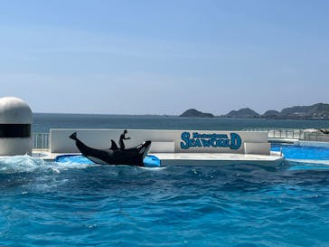 鴨川シーワールドに投稿された画像（2025/4/28）