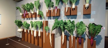 特別展「和食 ～日本の自然、人々の知恵～」に投稿された画像（2025/4/28）