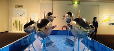 特別展「和食 ～日本の自然、人々の知恵～」に投稿された画像（2025/4/28）