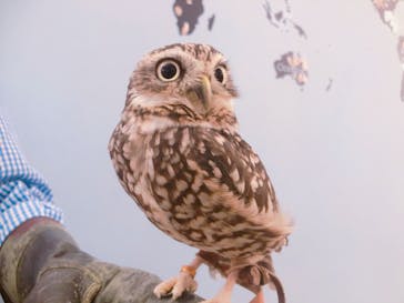 Moff アニマル カフェ イーアス 高尾店に投稿された画像（2025/4/28）