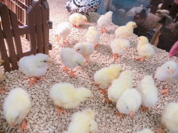 Moff アニマル カフェ イーアス 高尾店に投稿された画像（2025/4/28）