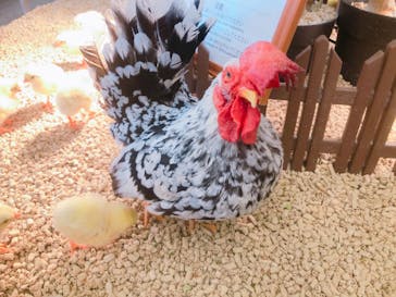 Moff アニマル カフェ イーアス 高尾店に投稿された画像（2025/4/28）