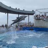 大分マリーンパレス水族館 「うみたまご」に投稿された画像（2025/4/28）