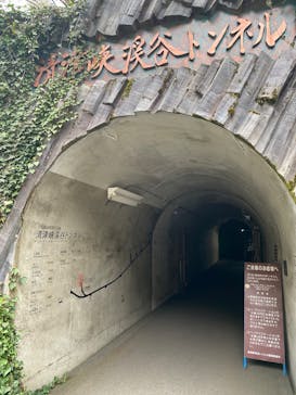 清津峡渓谷トンネルに投稿された画像（2025/4/28）