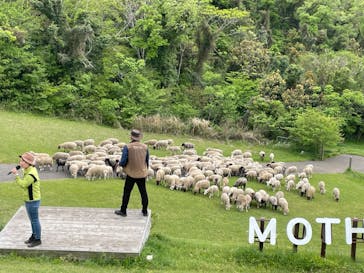 マザー牧場に投稿された画像（2025/4/28）