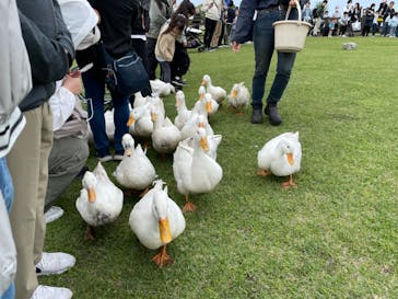 マザー牧場に投稿された画像（2025/4/28）