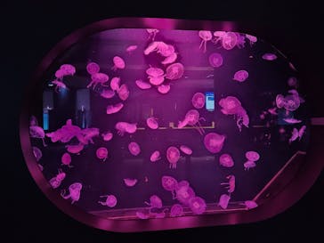 AOAO SAPPOROに投稿された画像（2025/4/28）