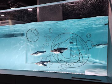 AOAO SAPPOROに投稿された画像（2025/4/28）