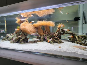 AOAO SAPPOROに投稿された画像（2025/4/28）