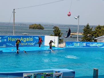 のとじま水族館に投稿された画像（2025/4/28）