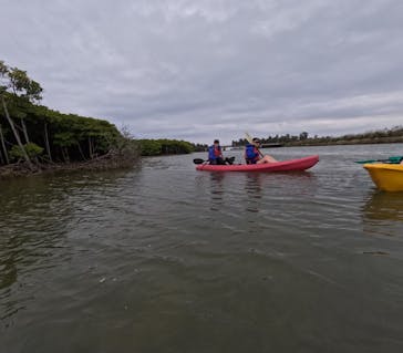 サウスワードカヤッククラブに投稿された画像（2025/4/28）