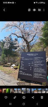 清津峡渓谷トンネルに投稿された画像（2025/4/28）