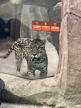 那須どうぶつ王国に投稿された画像（2025/4/28）