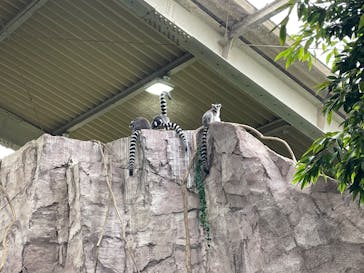 那須どうぶつ王国に投稿された画像（2025/4/28）