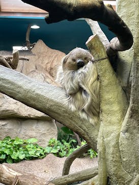 那須どうぶつ王国に投稿された画像（2025/4/28）