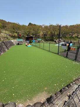 さがみ湖MORI MORIに投稿された画像（2025/4/28）