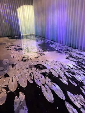 モネ　睡蓮のときに投稿された画像（2025/4/28）