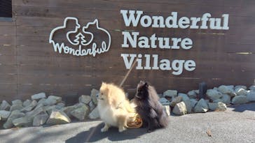 わんダフルネイチャーヴィレッジに投稿された画像（2025/4/28）