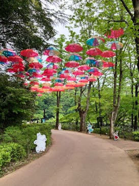 ムーミンバレーパークに投稿された画像（2025/4/28）