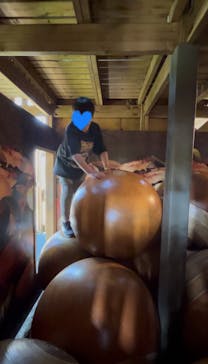 モビリティリゾートもてぎに投稿された画像（2025/4/28）