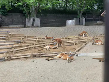 多摩動物公園に投稿された画像（2025/4/28）