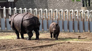 多摩動物公園に投稿された画像（2025/4/28）