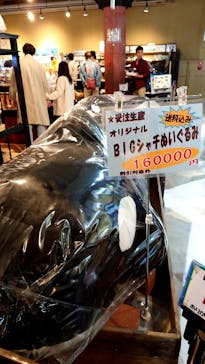 鴨川シーワールドに投稿された画像（2025/4/28）