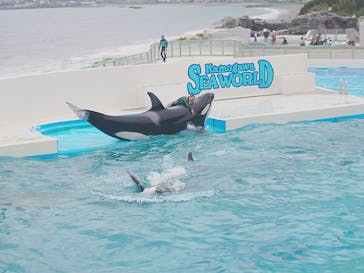 鴨川シーワールドに投稿された画像（2025/4/28）