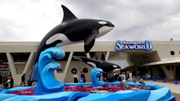 鴨川シーワールドに投稿された画像（2025/4/28）