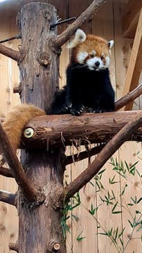 伊豆シャボテン動物公園に投稿された画像（2025/4/28）