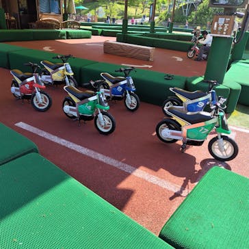 モビリティリゾートもてぎに投稿された画像（2025/4/28）