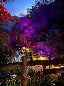 ニジゲンノモリに投稿された画像（2025/4/28）