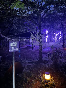 ニジゲンノモリに投稿された画像（2025/4/28）