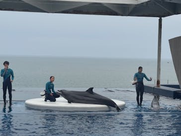上越市立水族博物館 うみがたりに投稿された画像（2025/4/29）