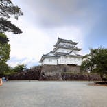 小田原城に投稿された画像（2025/4/29）