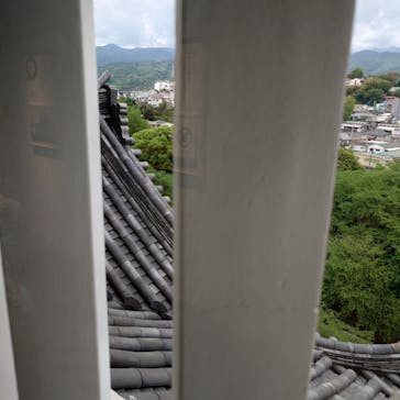 小田原城に投稿された画像（2025/4/29）