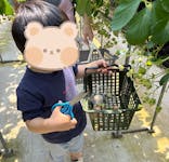 ICHIGOHOUSE.MITAKAに投稿された画像（2025/4/29）