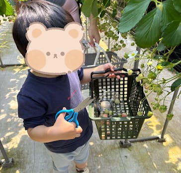 ICHIGOHOUSE.MITAKAに投稿された画像（2025/4/29）