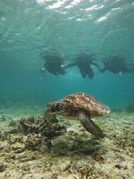 Nami宮古島に投稿された画像（2025/4/29）