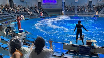 マクセル アクアパーク品川に投稿された画像（2025/4/29）