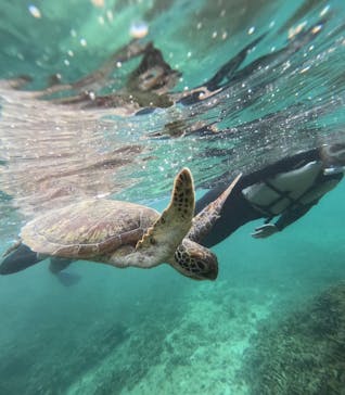 nico 宮古島に投稿された画像（2025/4/29）