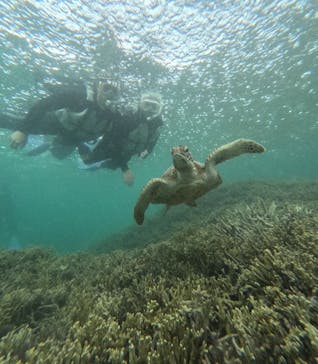 nico 宮古島に投稿された画像（2025/4/29）