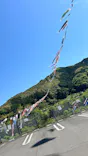 こいのぼり公園に投稿された画像（2025/4/29）