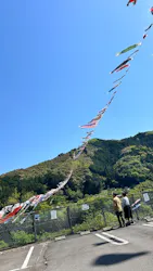 こいのぼり公園に投稿された画像（2025/4/29）