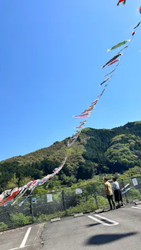 こいのぼり公園に投稿された画像（2025/4/29）