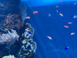 サンシャイン水族館に投稿された画像（2025/4/29）