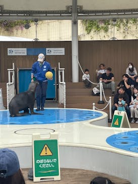 サンシャイン水族館に投稿された画像（2025/4/29）